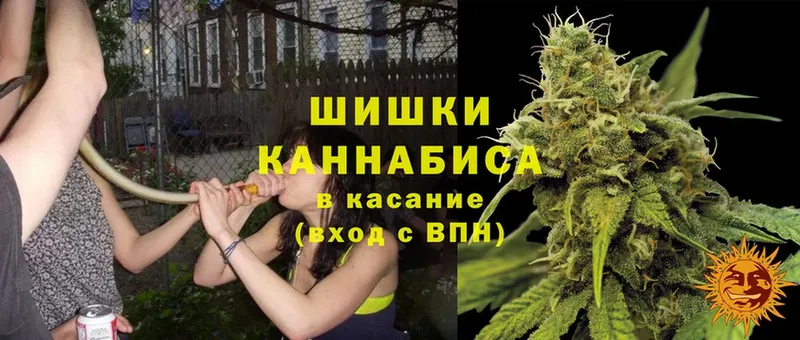 как найти закладки  Борзя  Бошки марихуана SATIVA & INDICA 